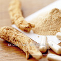 Supply Angelica Sinensis Extract 4:1,10:1